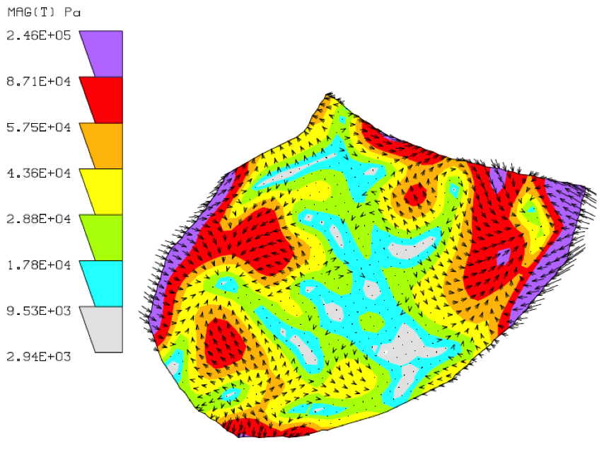 Force map of cardiomyocyte